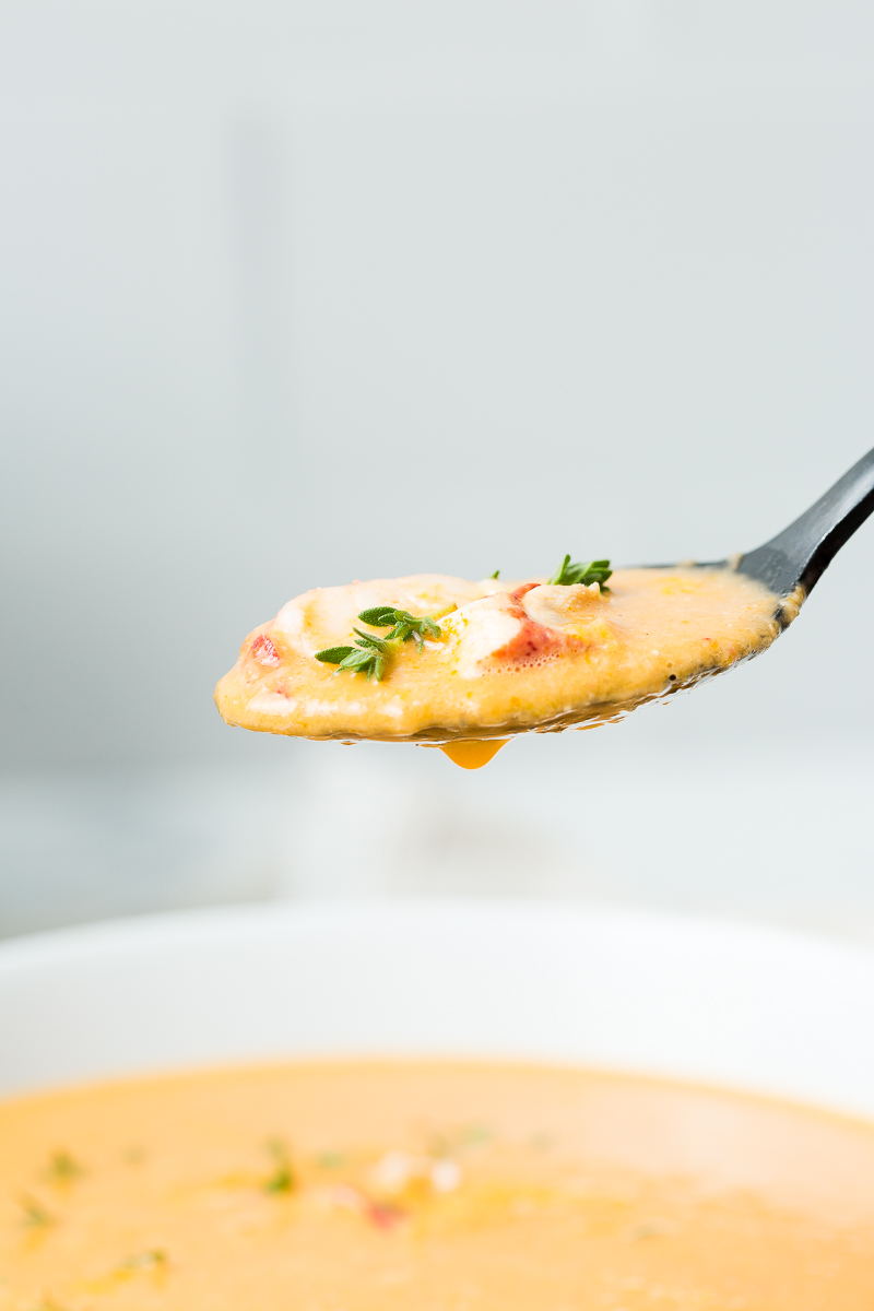 Lobster Bisque-image