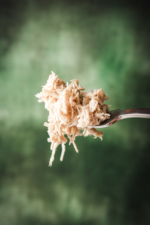 Close up image of shredded chicken on a fork with a green background