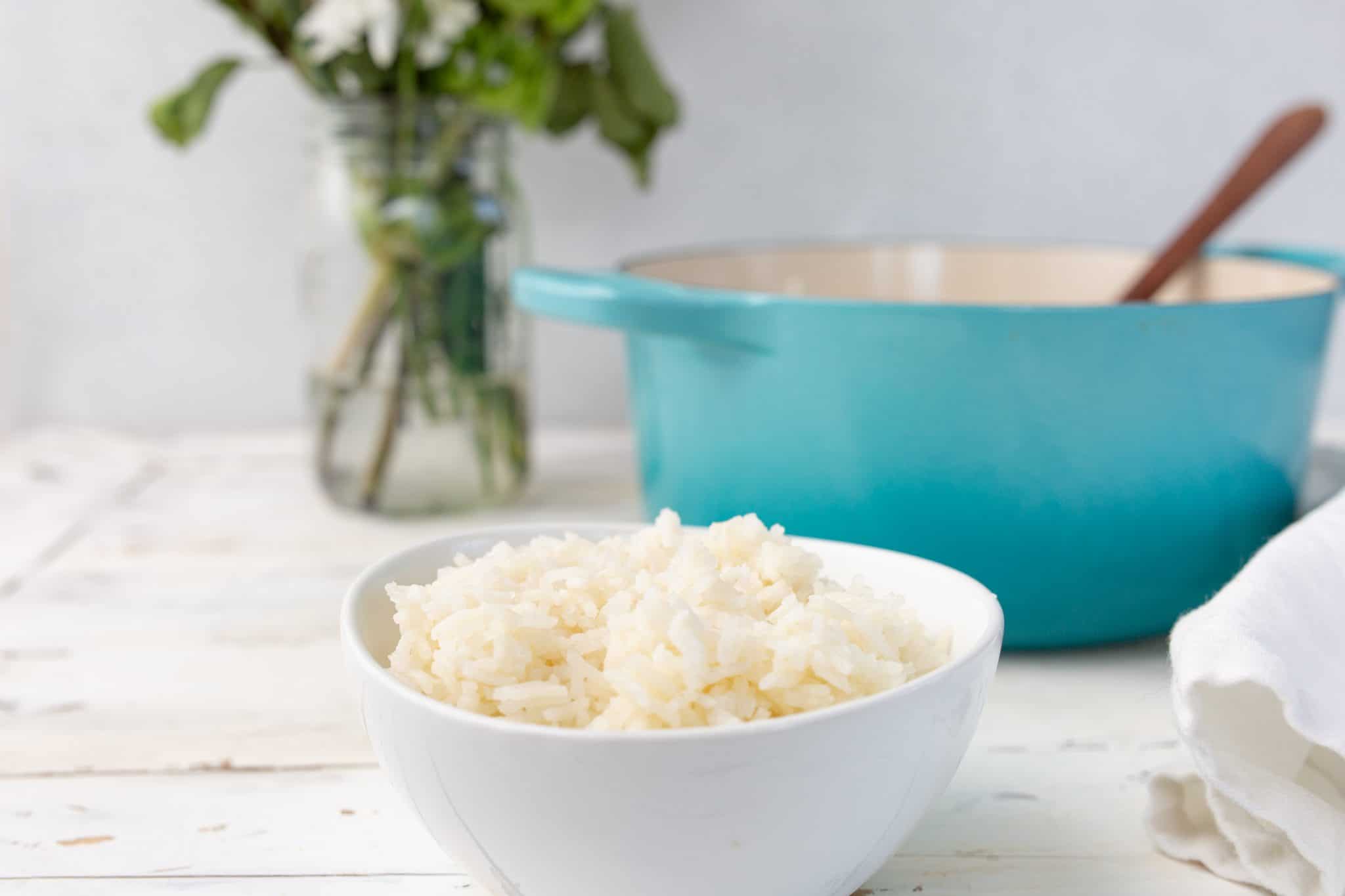 A bowl of white rice sits in front of a dutch oven on the table. 